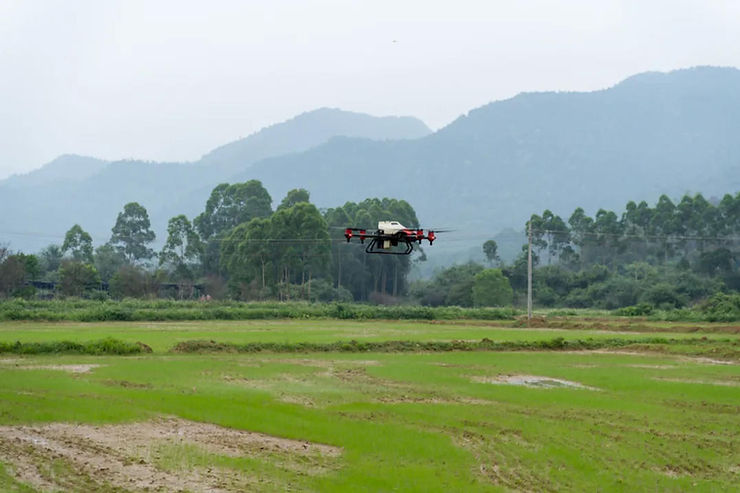 XAG P30 Agricultural Drones in Rice Farming