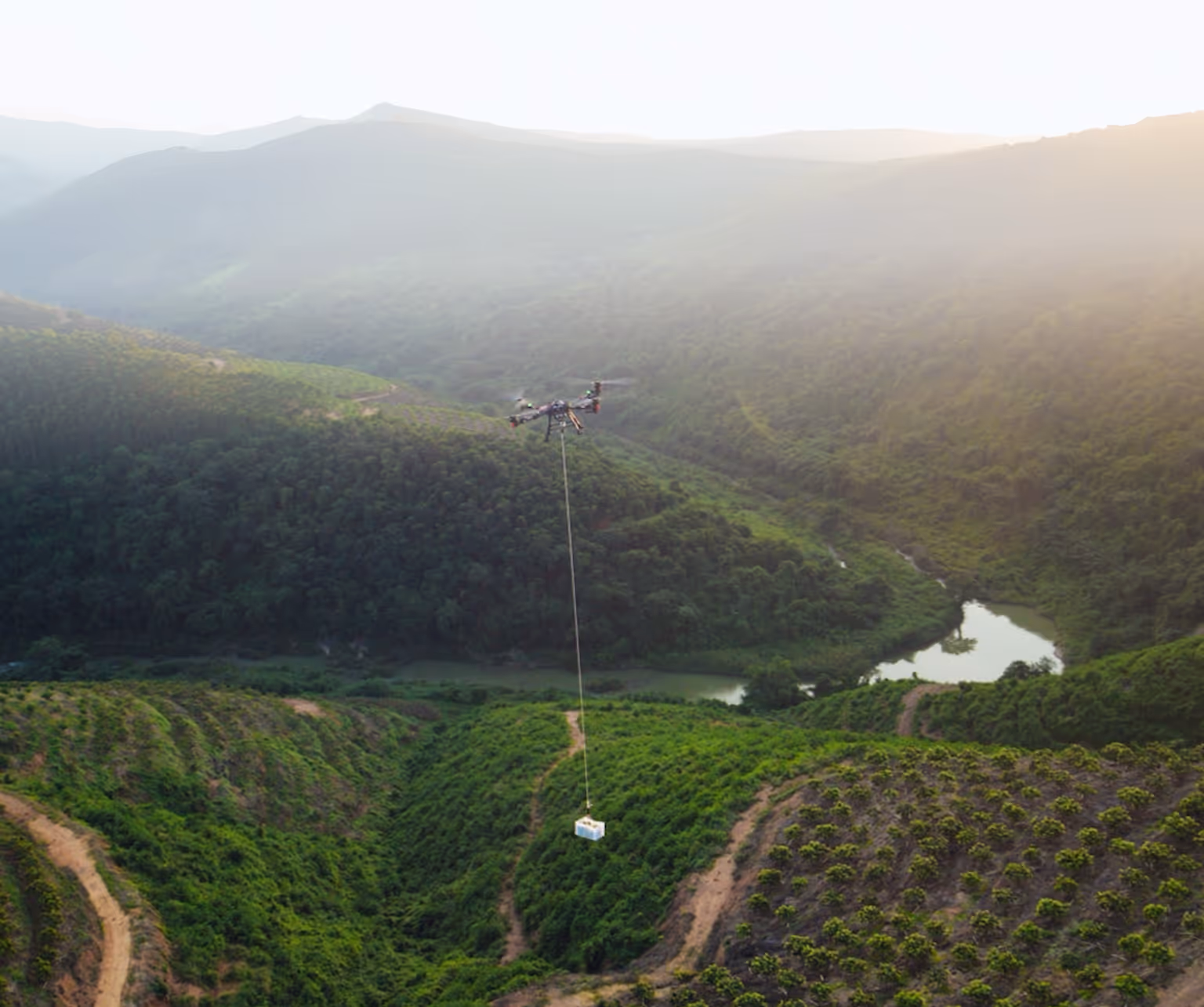 Drone flying above trees carrying a potted plant suspended by a thin line.