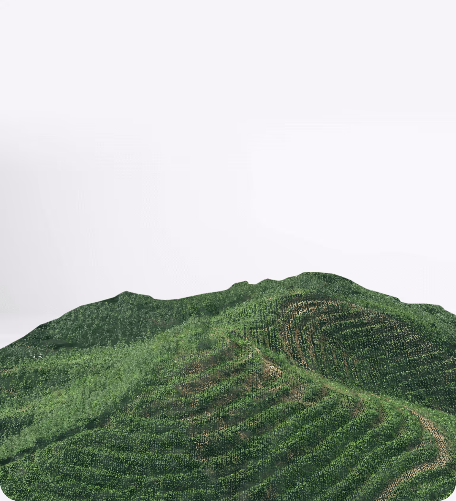 Aerial view of green agricultural terraces covering rolling hills under bright sky
