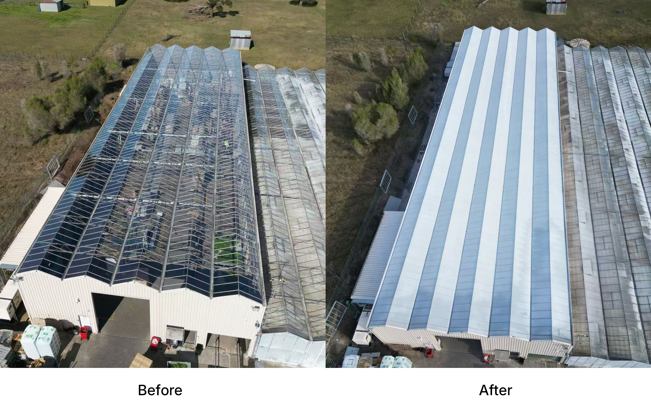 greenhouse roof wwhitewashing Before/After image
