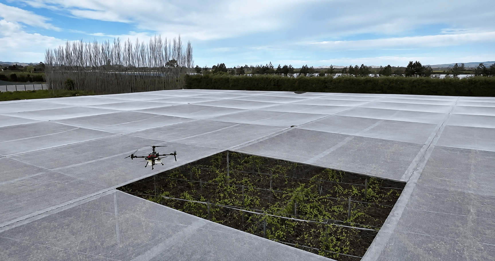 XAG P150 Max delivering aerial spraying over orchard hail nets